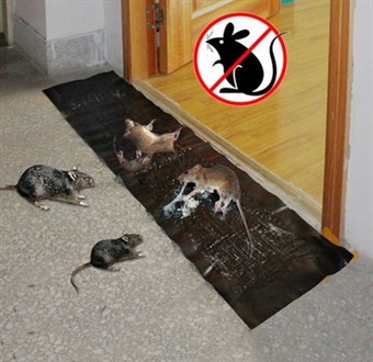 Mouse Catcher - Zelfklevende muizenval - Niet-giftige ongediertevanger