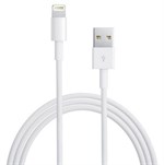 Lightning Data kabel voor iPad/iPhone - Originele Apple kabel