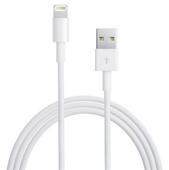 Lightning Data kabel voor iPad/iPhone - Originele Apple kabel