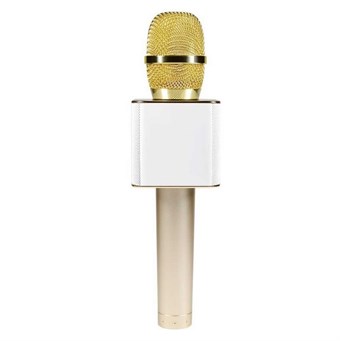 Q9 Professionele Draadloze Microfoon met Luidspreker - Goud