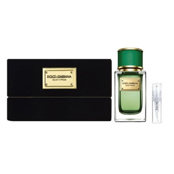 Dolce & Gabbana Velvet Cypress - Eau de Parfum - Geurmonster - 2 ml