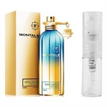 Montale Paris Aoud Lagoon - Eau de Parfum - Geurmonster - 2 ml