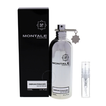 Montale Paris Embruns d\'Essaouira - Eau De Parfum - Geurmonster - 2 ml
