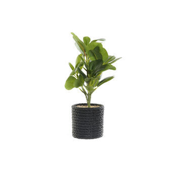 Decoratieve plant DKD Home Decor Zwart Groen PVC EVA (16 x 18 x 32 cm)