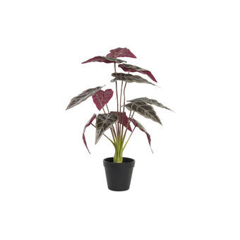 Decoratieve plant DKD Home Decor Groen Bordeaux PE (20 x 20 x 49 cm)
