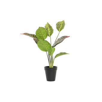 Decoratieve plant DKD Home Decor Oranje Groen PE (20 x 20 x 49 cm)