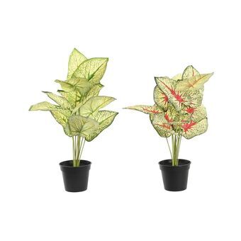 Decoratieve plant DKD Home Decor Rood Wit Groen PP PE (30 x 43 x 54 cm) (2 Stuks)