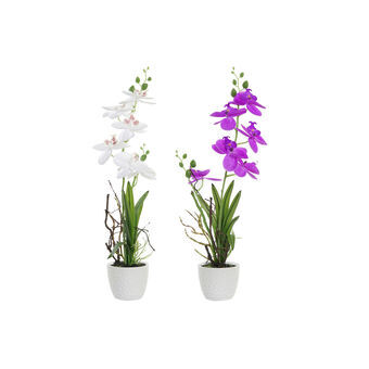 Decoratieve Bloemen DKD Home Decor Fuchsia Wit Orientaals Orchidee (14 x 14 x 45 cm) (2 Stuks)