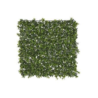 Verticale kit voor de tuin DKD Home Decor Groen (50 x 50 x 5 cm)