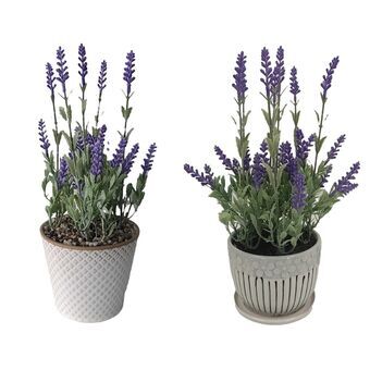 Decoratieve plant DKD Home Decor Lavendel Keramisch PE (2 Stuks) (11 x 11 x 28 cm)