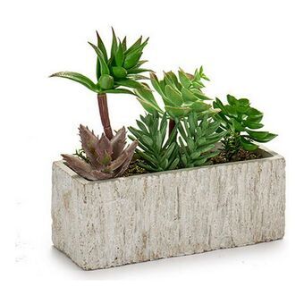 Decoratieve plant Grijs Groen Keramisch Plastic (9 x 20 x 21,5 cm)