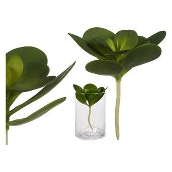 Decoratieve plant Groen Plastic (16 x 25 x 16	 cm) (18 x 23 x 18	 cm)