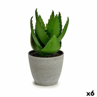 Decoratieve plant Aloë Vera 15 x 23,5 x 15 cm Grijs Groen Plastic (6 Stuks)