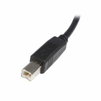 Kabel USB A naar USB B Startech USB2HAB3M            Zwart