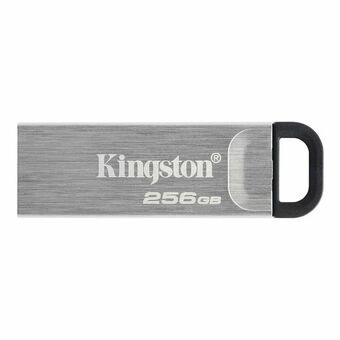 USB stick Kingston DTKN/256GB USB 3.2 Zwart Zilver 256 GB