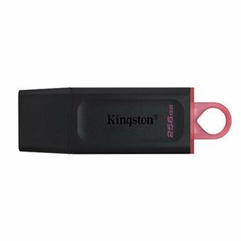 USB stick Kingston DTX/256GB            256 GB Zwart