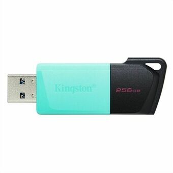 USB stick Kingston DTXM/256GB 256 GB Blauw 256 GB