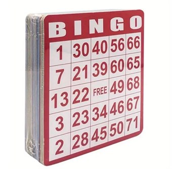 Bingospel 100 stuks in 5 verschillende kleuren