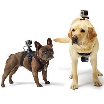 Puluz® GoPro Hero Borstriem voor honden