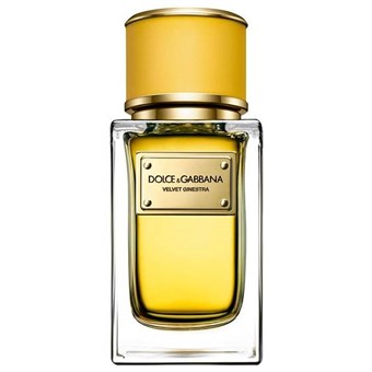 Dolce & Gabbana Velvet Ginestra - Eau de Parfum - Reisformaat - 10 ml