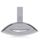 Euphoria by Calvin Klein - Eau De Parfum Spray (unboxed) 100 ml - voor vrouwen