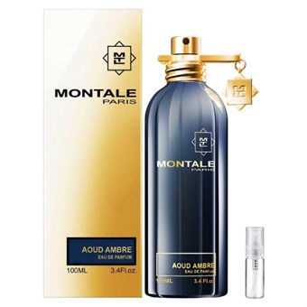 Montale Paris Aoud Ambre - Eau de Parfum - Geurmonster - 2 ml