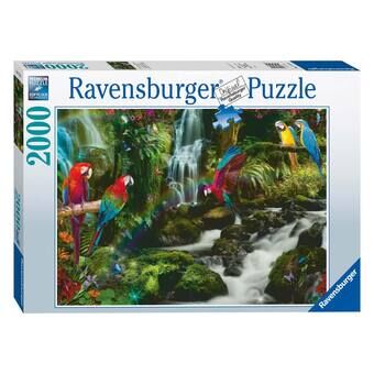 Gevlekte papegaaien in de jungle puzzel, 2000 stukjes.