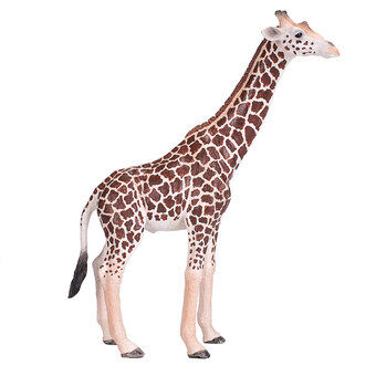 Mojo wilde mannelijke giraf - 381008