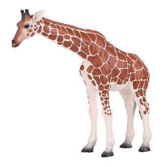 Mojo vrouwelijke giraffe in het wild - 381033