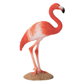 Mojo wilde dieren Amerikaanse flamingo - 387134