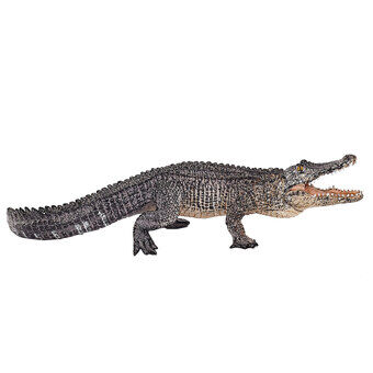 Mojo wildlife Alligator met beweegbare kaak - 387168