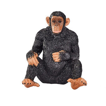 Mojo wilde chimpansee - 387265