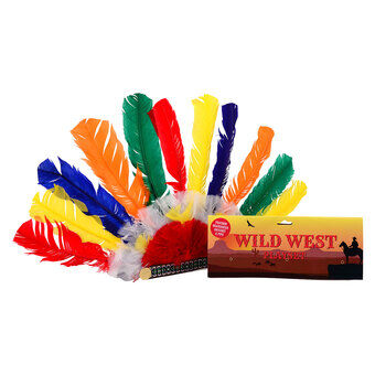 Wild West-Indische hoofdtooi